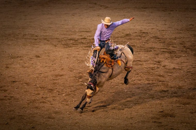045 Cody, rodeo.jpg